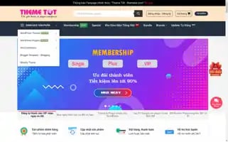 Themetot.com Screenshot 2024-06-26 20:36:38