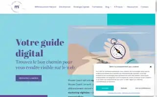 Mousecoach.com Screenshot 2024-06-16 15:04:20