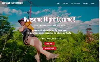 Awesometourscozumel.com Screenshot 2024-04-18 16:43:28
