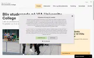 Via.dk Screenshot 2024-07-05 14:06:48