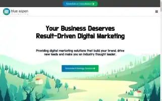Blueaspenmarketing.com Screenshot 2024-06-13 09:17:30
