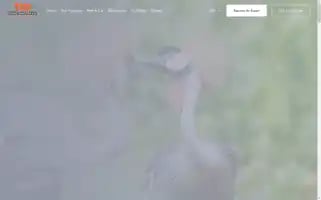 Tiotours.travel Screenshot 2024-04-14 23:05:53