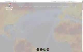 Interflexgroup.com Screenshot 2024-07-06 17:53:36