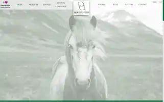 Coachingconcaballosnp.com Screenshot 2024-06-18 23:32:37