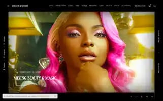 Steeveaukingso.com Screenshot 2024-06-18 21:30:08