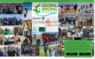 Globalbirding.org Screenshot 2024-07-03 03:54:03