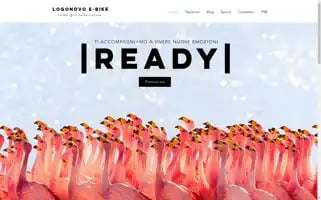 Fenicotterodeltatour.com Screenshot 2024-04-17 18:00:57