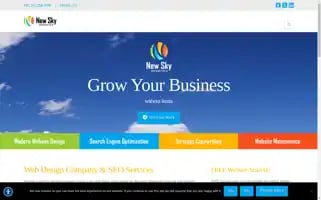 Newskywebsites.com Screenshot 2024-07-02 10:32:01