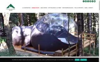 Coopbiccari.it Screenshot 2024-06-12 04:49:53