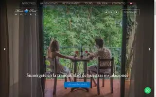 Monterealhotel.com Screenshot 2024-04-16 04:14:44