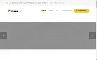 Puliha.ru Screenshot 2024-05-13 14:08:09