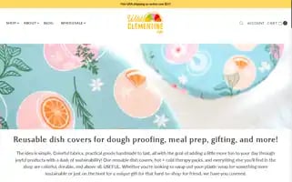 Wildclementine.co Screenshot 2024-05-04 05:27:42