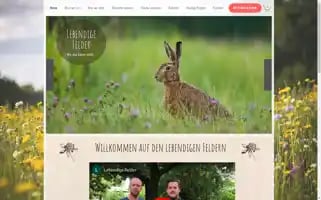 Lebendigefelder.at Screenshot 2024-06-28 01:07:30