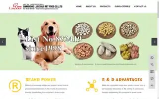 Chinaluscious.com Screenshot 2024-07-09 06:01:41