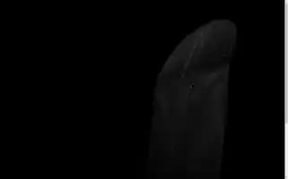 Kapeskateboards.com Screenshot 2024-05-05 07:27:47
