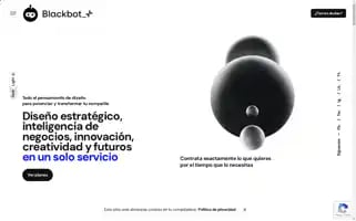 Blackbot.plus Screenshot 2024-07-01 14:45:16