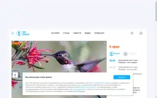 Moya-planeta.ru Screenshot 2024-05-06 01:51:19