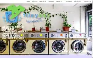Fileybaylaunderette.co.uk Screenshot 2024-05-20 08:38:09