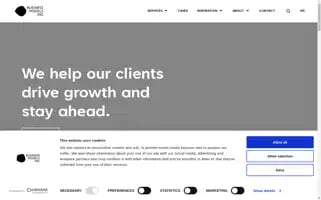 Businessmodelsinc.com Screenshot 2024-05-08 22:30:20