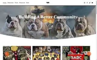 Babcmovement.com Screenshot 2024-05-17 06:18:35