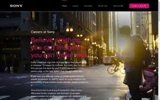 Sonyjobs.com Screenshot 2024-05-14 00:23:58
