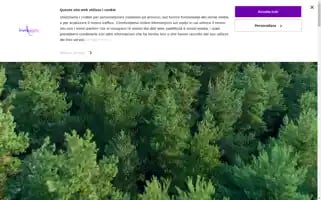 Energy-light.it Screenshot 2024-07-08 06:21:25