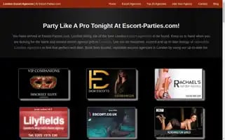 Escort-parties.com Screenshot 2024-07-05 19:42:29