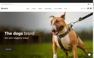 Thepupco.co.uk Screenshot 2024-04-18 18:02:39