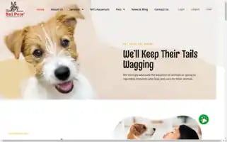 Shreesaipets.com Screenshot 2024-05-21 04:06:47