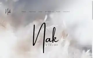 Nakandcompany.com Screenshot 2024-06-17 11:20:51