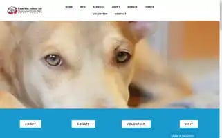 Capeannanimalaid.org Screenshot 2024-07-01 11:30:55