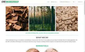 Csebiomass.co.za Screenshot 2024-05-19 03:00:58