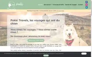 Pokkitravels.com Screenshot 2024-04-23 18:55:24