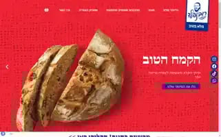 Rubinfeld.co.il Screenshot 2024-07-08 02:39:09