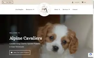 Alpinecavaliers.com Screenshot 2024-05-24 00:15:55