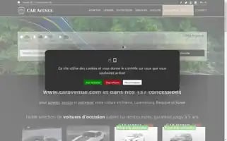 Caravenue.com Screenshot 2024-06-17 02:01:00