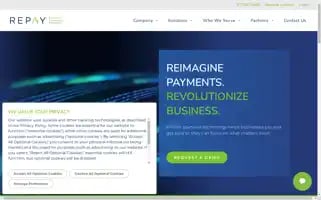 Repay.com Screenshot 2024-06-29 02:15:36
