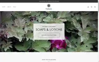Tonicnaturals.com Screenshot 2024-05-05 13:10:09