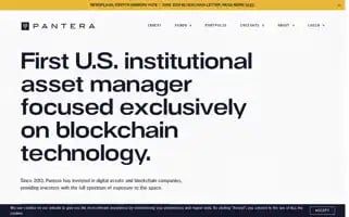 Panteracapital.com Screenshot 2024-07-08 22:30:51