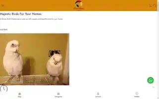 Dreambirdhouse.com Screenshot 2024-05-25 01:24:15