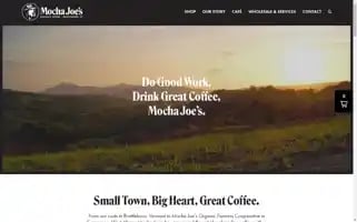 Mochajoes.com Screenshot 2024-05-05 01:27:51