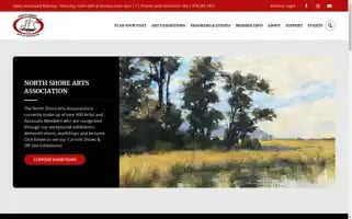 Nsarts.org Screenshot 2024-06-11 23:39:49