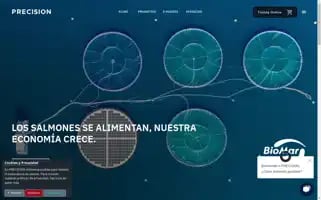 Precision.cl Screenshot 2024-07-02 17:59:36