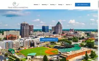 Triadsearchmarketing.com Screenshot 2024-06-30 19:10:36