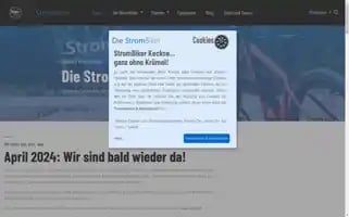 Die-strombiker.de Screenshot 2024-07-01 03:25:44