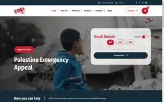 Capfoundations.com Screenshot 2024-06-12 03:58:40