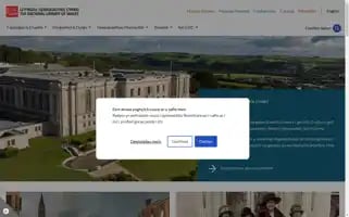 Llyfrgell.cymru Screenshot 2024-05-12 18:45:24