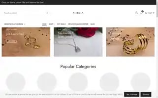 Zhinia.com Screenshot 2024-05-26 22:57:31