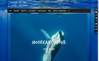Mooreaecotour.com Screenshot 2024-04-17 05:09:29