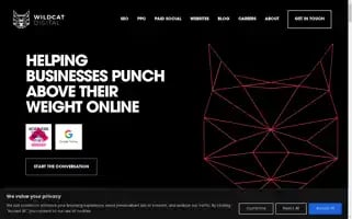 Wildcatdigital.co.uk Screenshot 2024-06-19 00:55:33